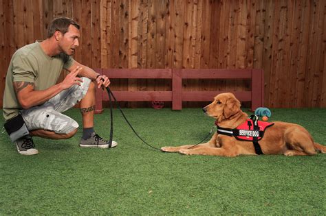 Training a service dog. Things To Know About Training a service dog. 